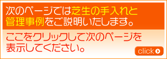 次のページでは芝生の手入れと管理事例をご説明いたします。