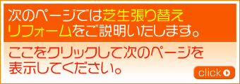 次のページでは芝生張り替えリフォームをご説明いたします。