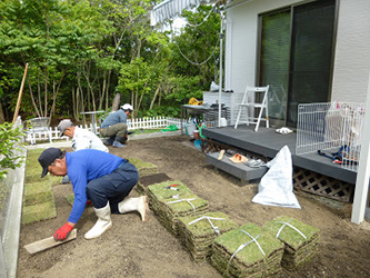 芝生張り作業