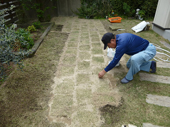 芝生張り作業