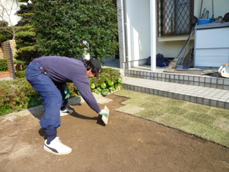 芝生張り