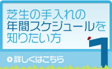 芝生の手入れの年間スケジュール